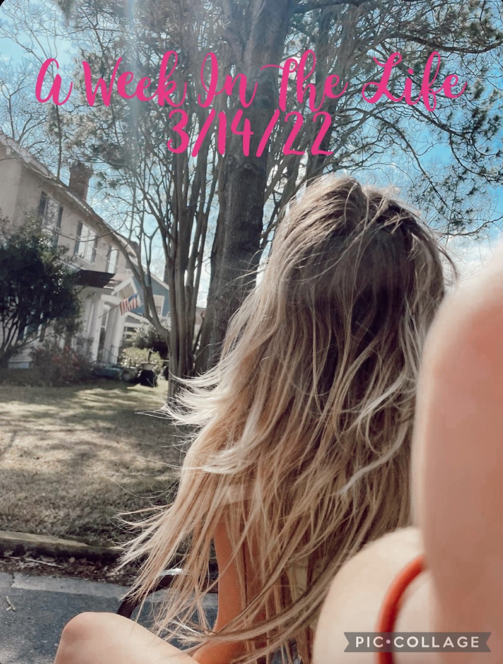 A Week In The Life&nbsp;3/14