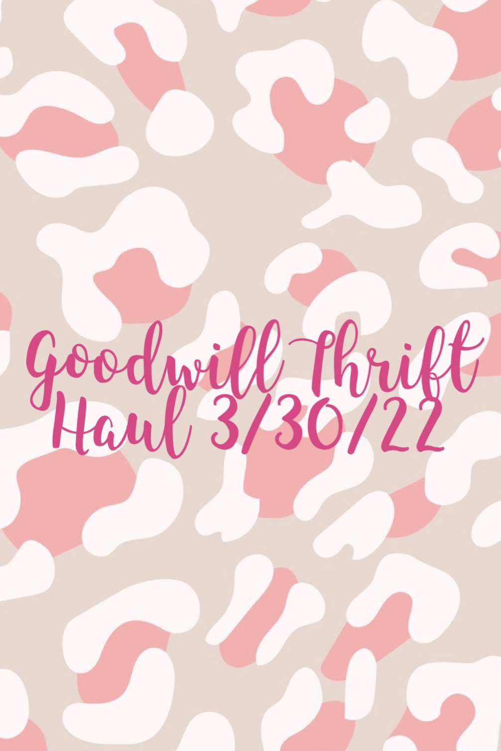Goodwill Thrift Haul&nbsp;3/30/22