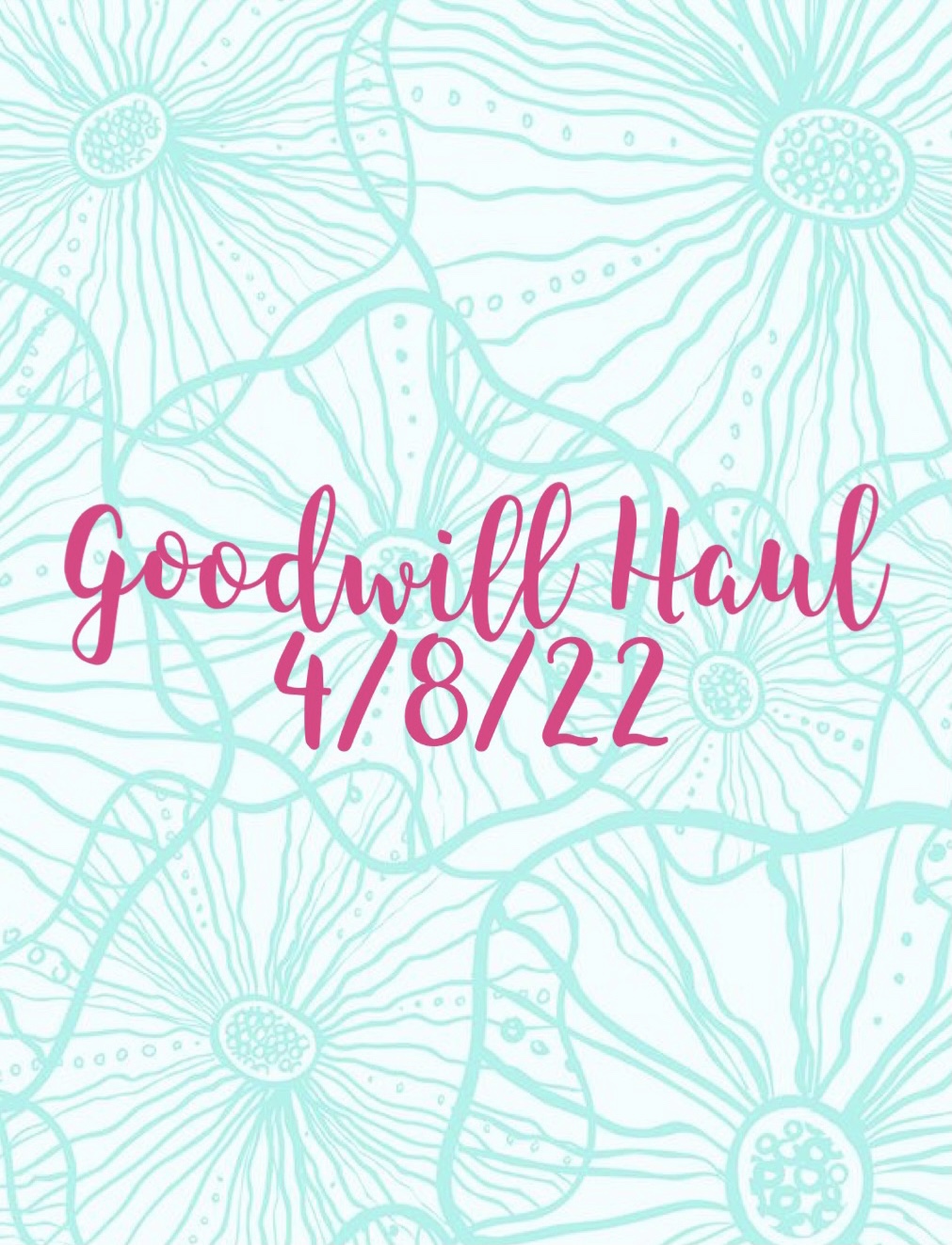 Goodwill Haul 4/8/22