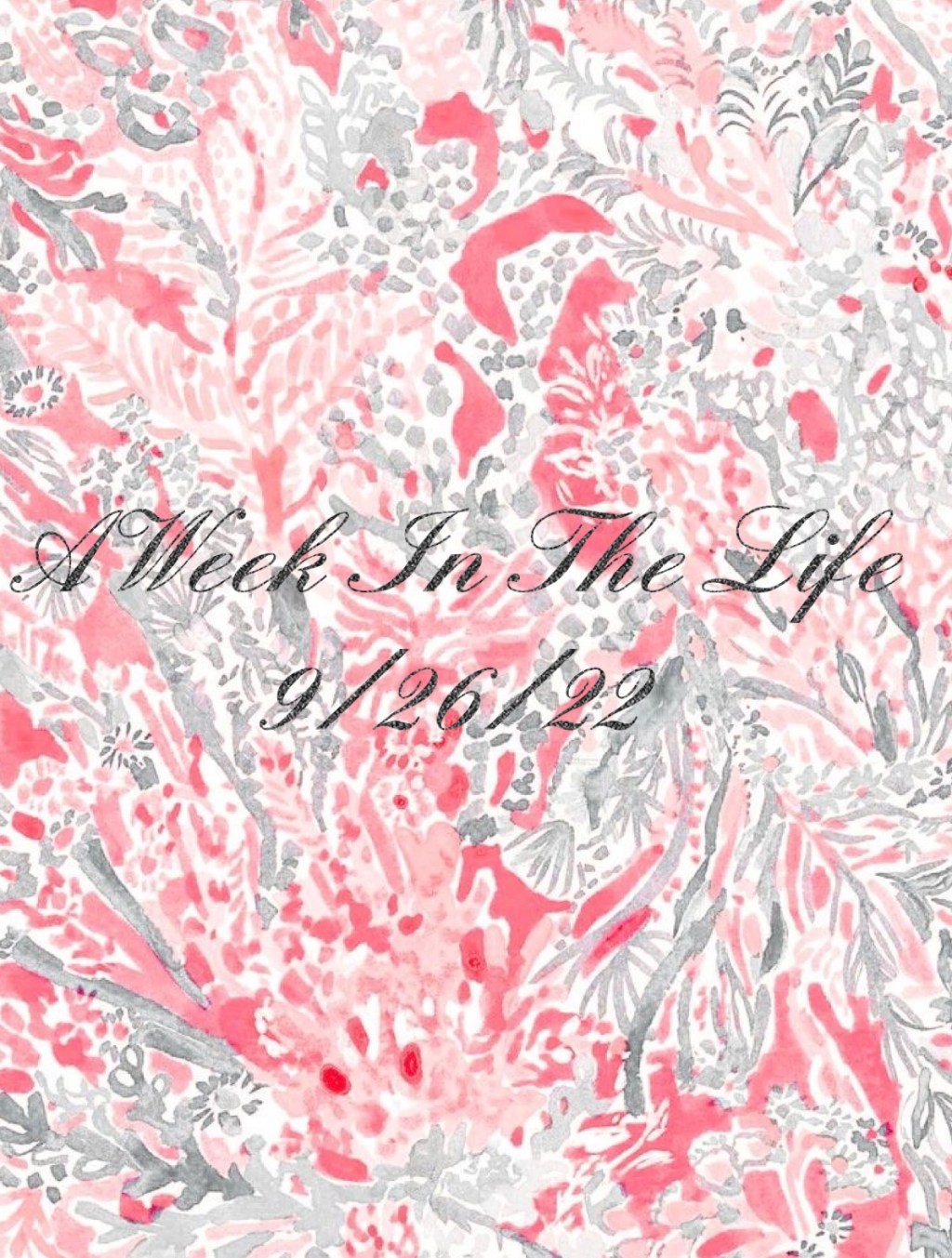 A Week In The Life&nbsp;9/26/22