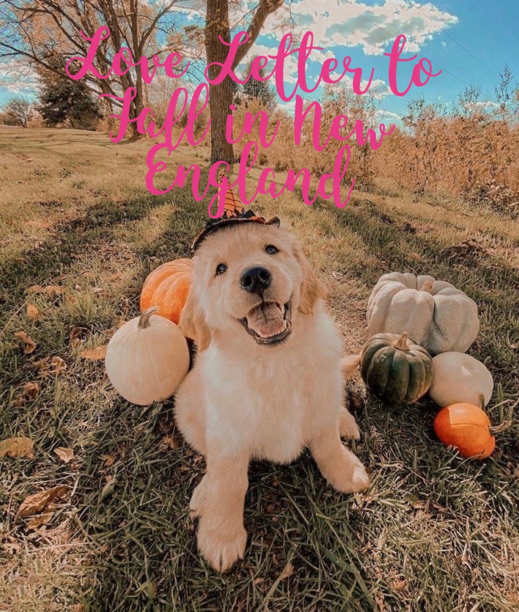 Love Letter To Fall in New&nbsp;England